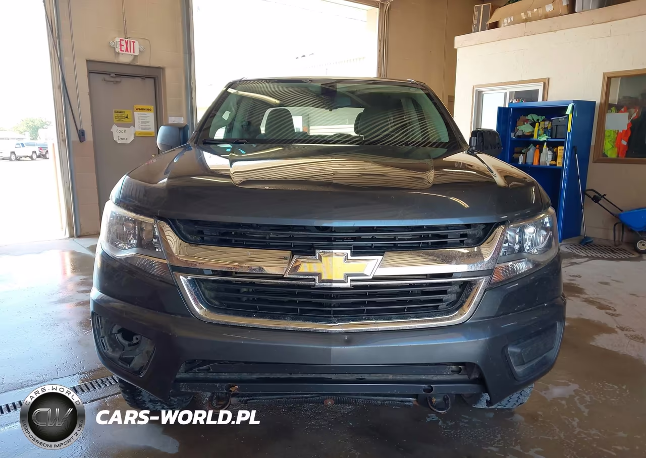 2017 Chevrolet Colorado 4Wd Wt VIN:1GCPTBE19H1226191 - 18