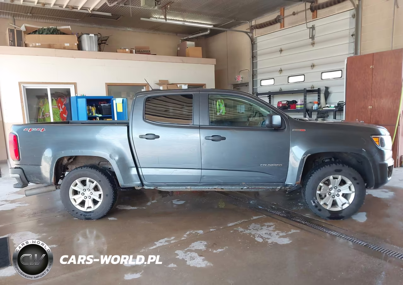 2017 Chevrolet Colorado 4Wd Wt VIN:1GCPTBE19H1226191 - 19