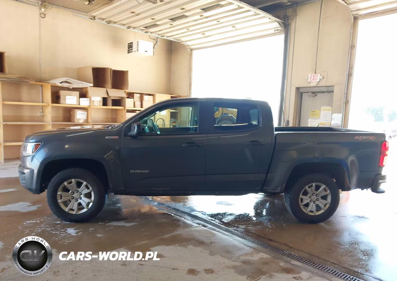 2017 Chevrolet Colorado 4Wd Wt VIN:1GCPTBE19H1226191 - 20