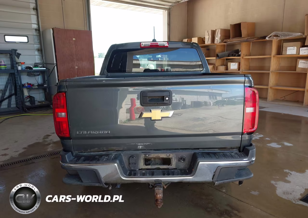 2017 Chevrolet Colorado 4Wd Wt VIN:1GCPTBE19H1226191 - 22