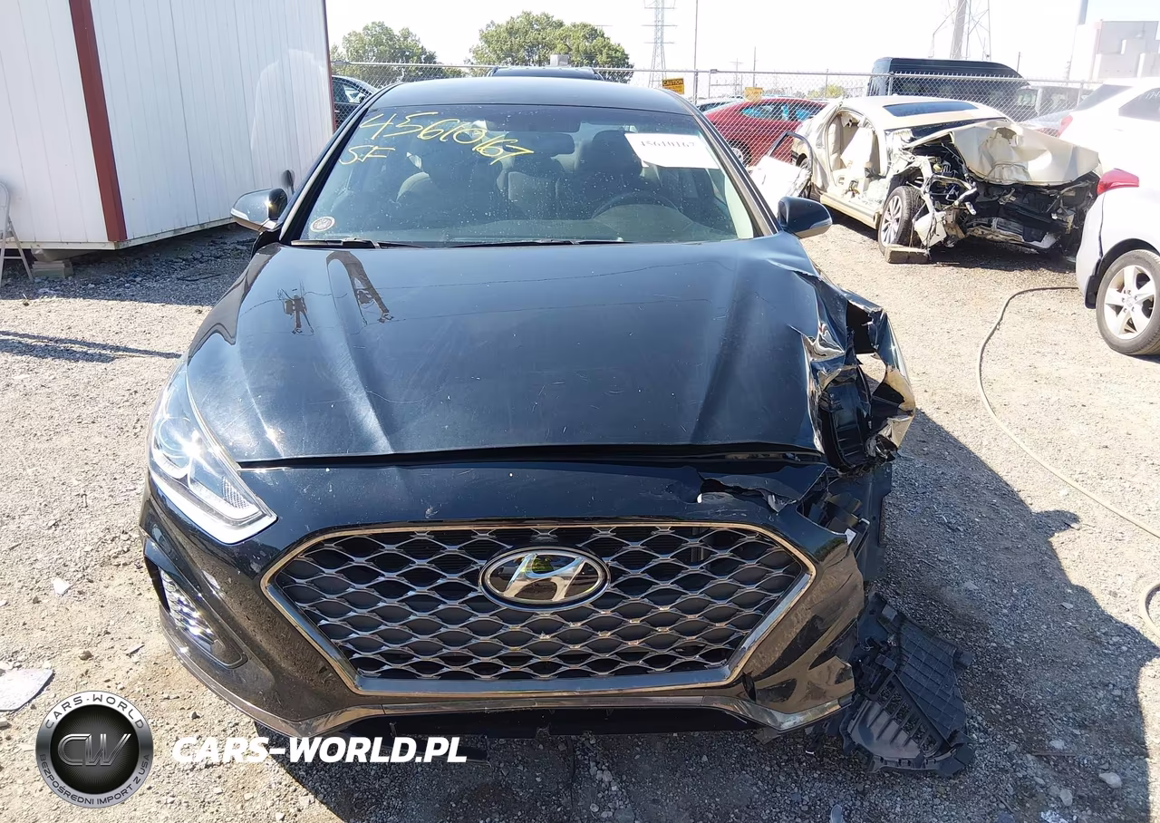 2019 Hyundai Sonata Sel VIN:5NPE34AF8KH752672 - 12