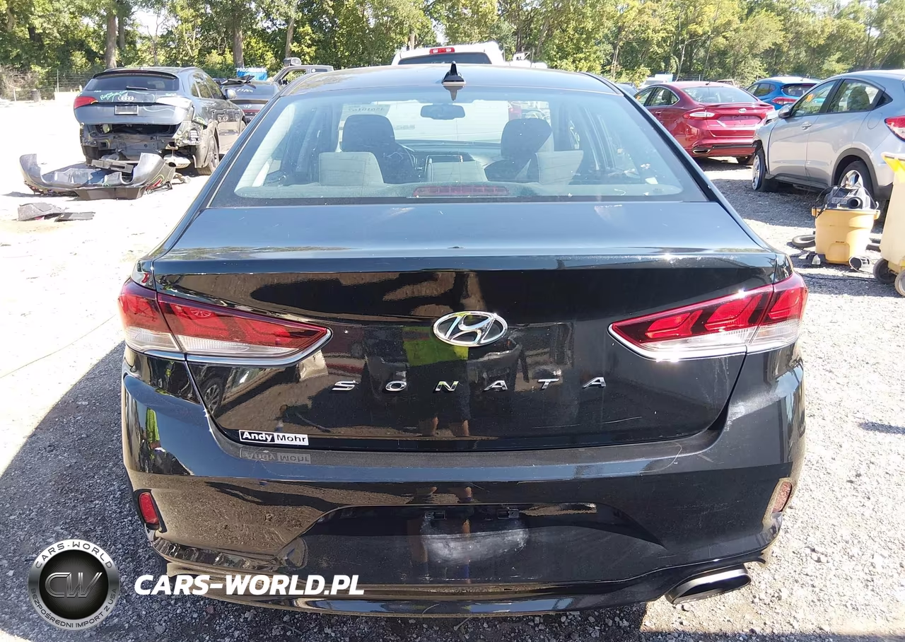 2019 Hyundai Sonata Sel VIN:5NPE34AF8KH752672 - 16