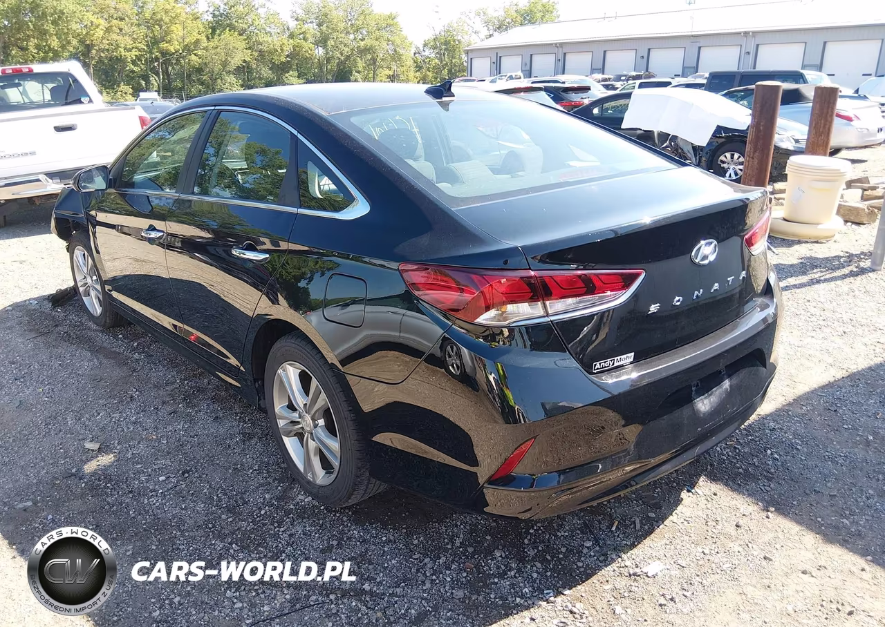 2019 Hyundai Sonata Sel VIN:5NPE34AF8KH752672 - 3
