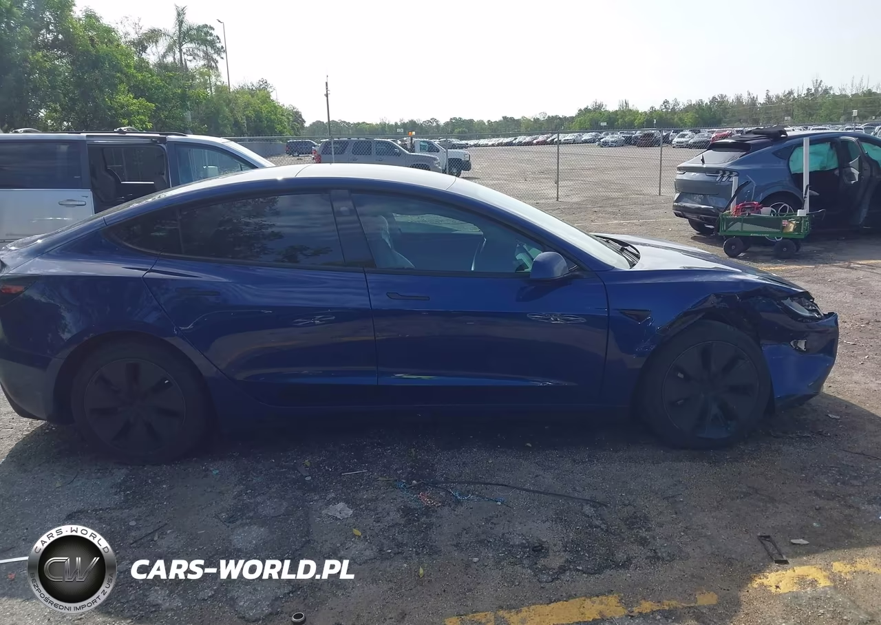 2025 Tesla Model 3 Long Range Rear-Wheel Drive-Standard Rear-Wheel Drive VIN:5YJ3E1EA7SF010213 - 12