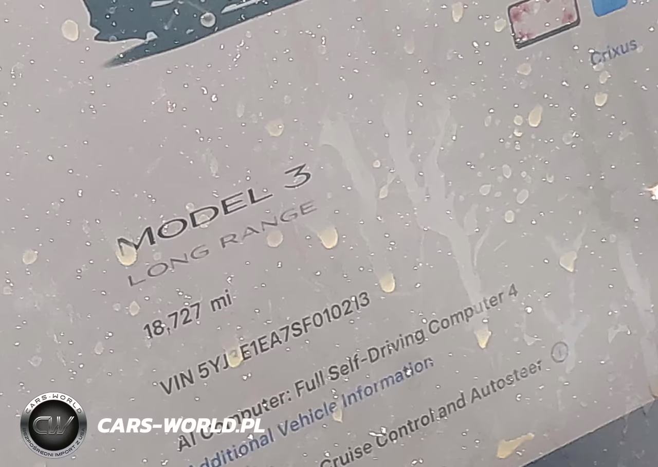2025 Tesla Model 3 Long Range Rear-Wheel Drive-Standard Rear-Wheel Drive VIN:5YJ3E1EA7SF010213 - 14