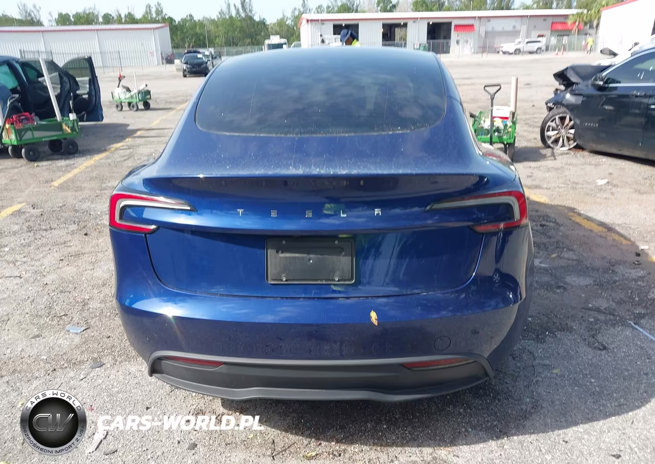 2025 Tesla Model 3 Long Range Rear-Wheel Drive-Standard Rear-Wheel Drive VIN:5YJ3E1EA7SF010213 - 15
