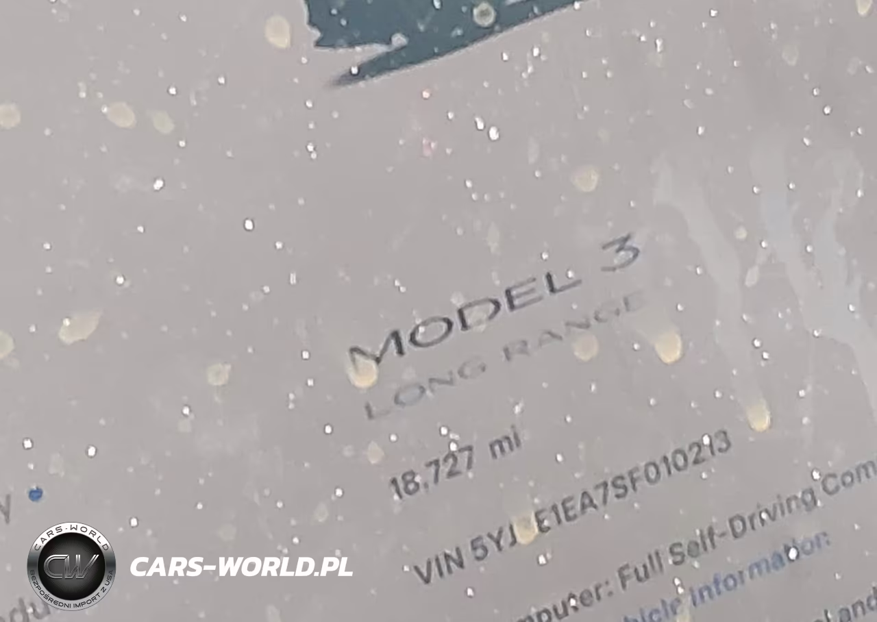 2025 Tesla Model 3 Long Range Rear-Wheel Drive-Standard Rear-Wheel Drive VIN:5YJ3E1EA7SF010213 - 7