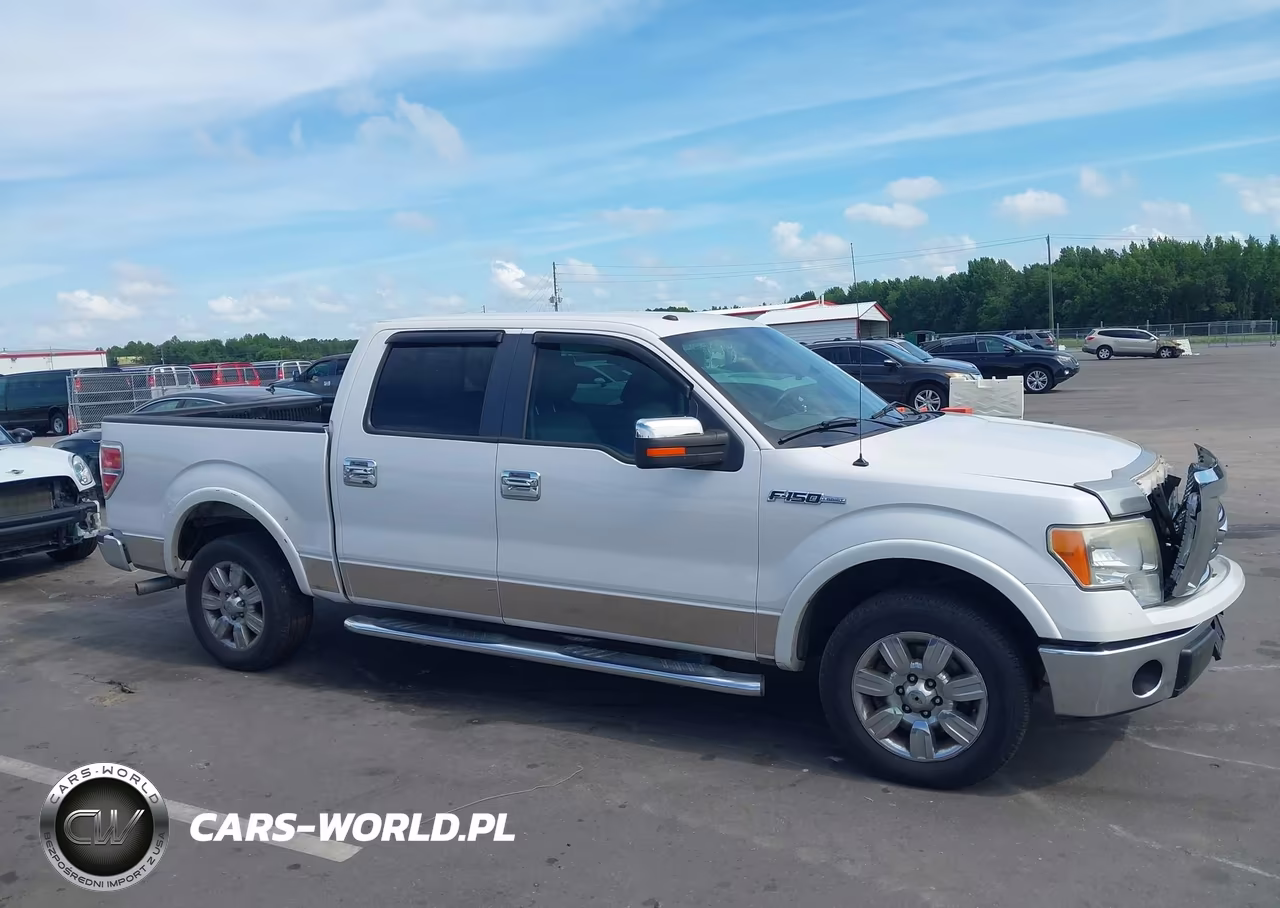 2010 Ford F-150 Fx2 Sport-Harley-Davidson-King Ranch-Lariat-Platinum-Xl-Xlt VIN:1FTFW1CV8AFA51511 - 13