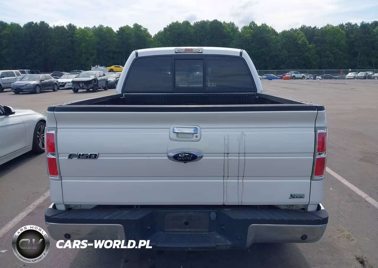 2010 Ford F-150 Fx2 Sport-Harley-Davidson-King Ranch-Lariat-Platinum-Xl-Xlt VIN:1FTFW1CV8AFA51511 - 16