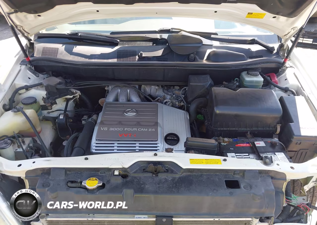 2001 Lexus Rx 300 VIN:JTJHF10U510166085 - 10