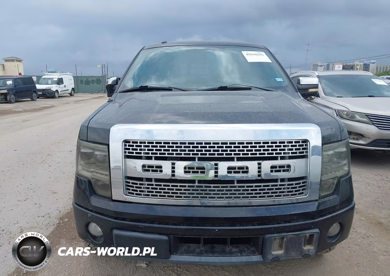 2011 Ford F-150 Platinum VIN:1FTFW1CT9BFC57923 - 12