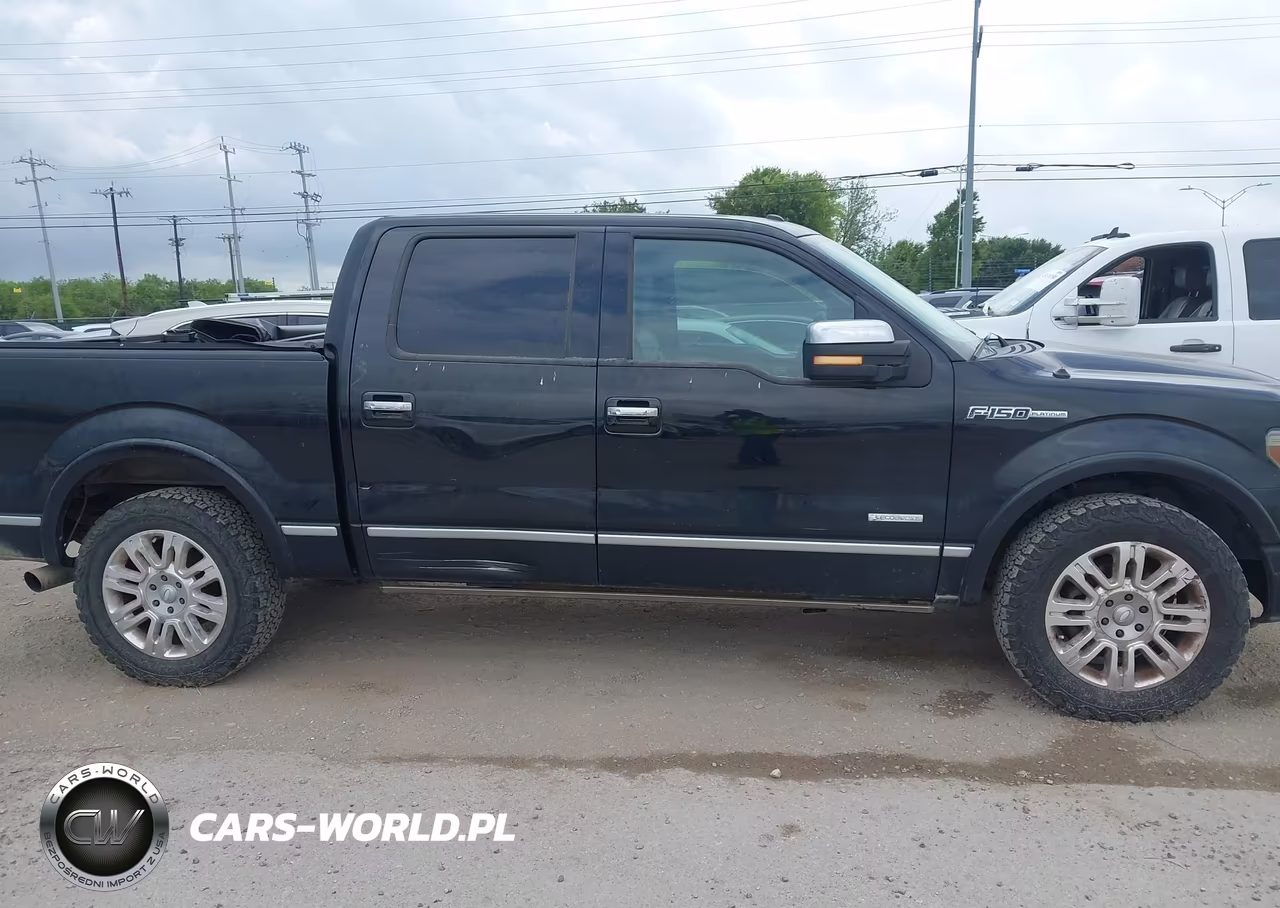 2011 Ford F-150 Platinum VIN:1FTFW1CT9BFC57923 - 13