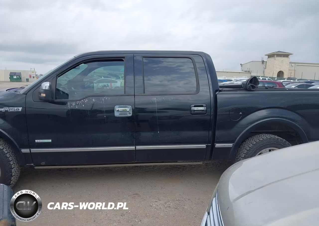 2011 Ford F-150 Platinum VIN:1FTFW1CT9BFC57923 - 14