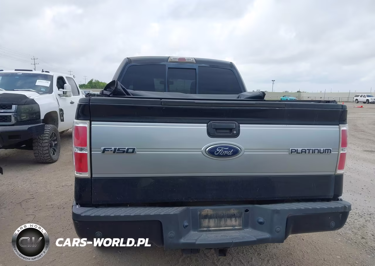 2011 Ford F-150 Platinum VIN:1FTFW1CT9BFC57923 - 16