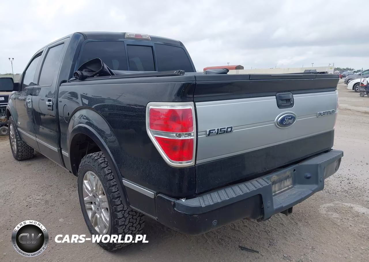2011 Ford F-150 Platinum VIN:1FTFW1CT9BFC57923 - 3