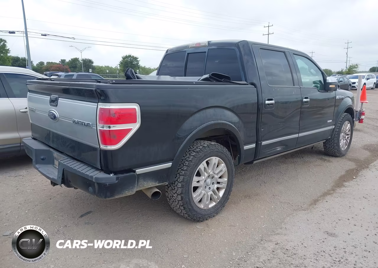 2011 Ford F-150 Platinum VIN:1FTFW1CT9BFC57923 - 4