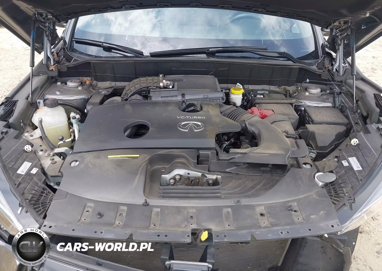 2024 Infiniti Qx50 Sport VIN:3PCAJ5FA8RF102689 - 10