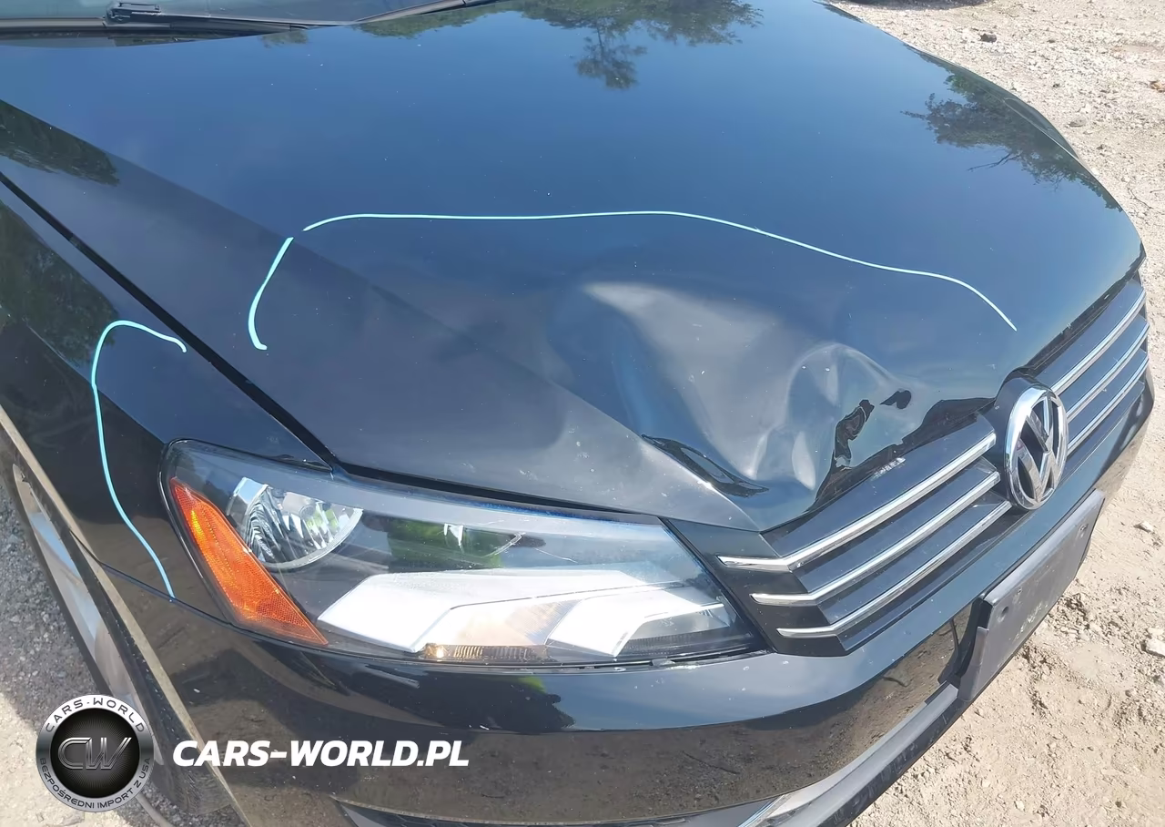 2014 Volkswagen Passat 1.8T Wolfsburg Edition VIN:1VWAT7A39EC039069 - 6