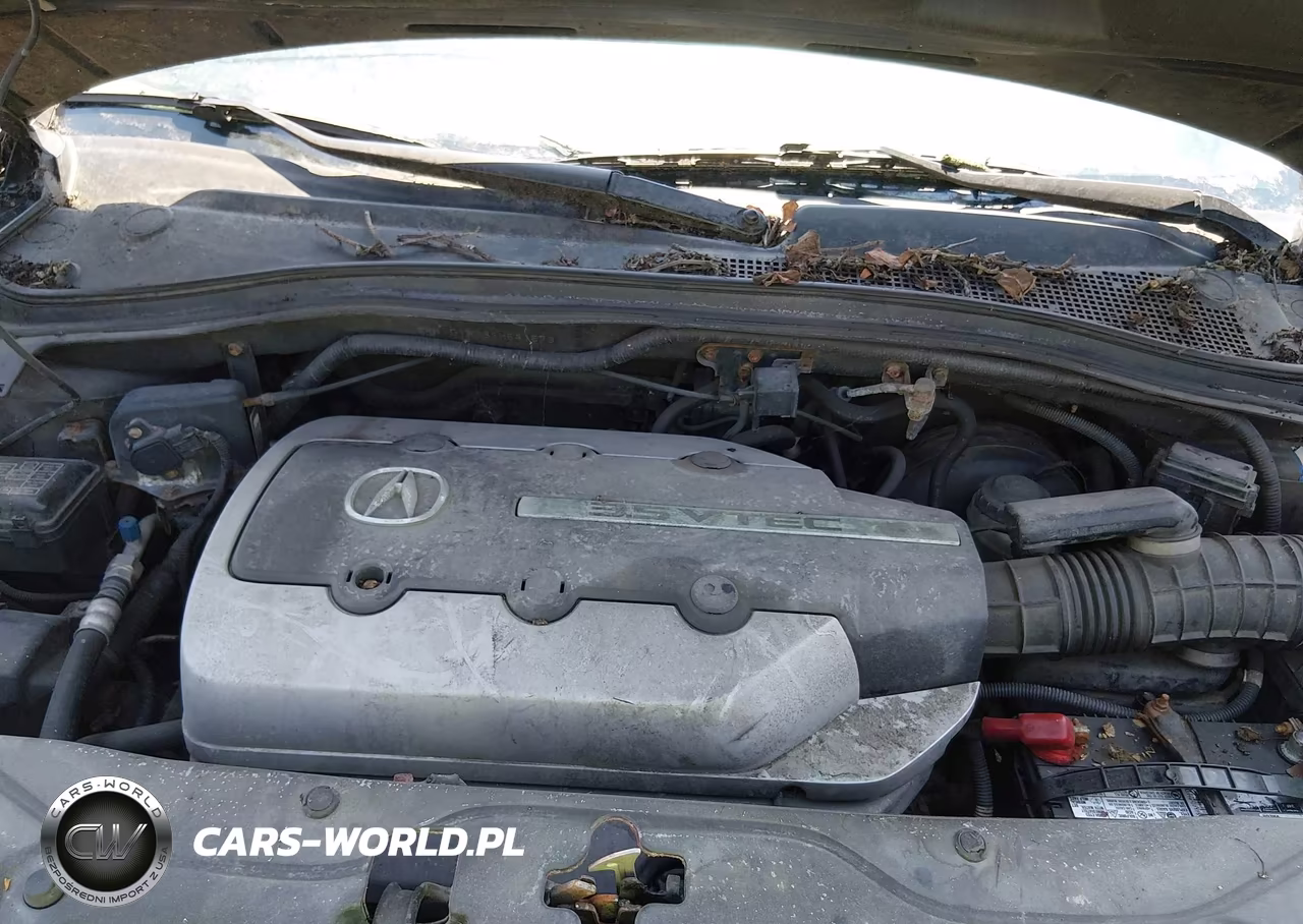 2003 Acura Mdx VIN:2HNYD18233H541573 - 10