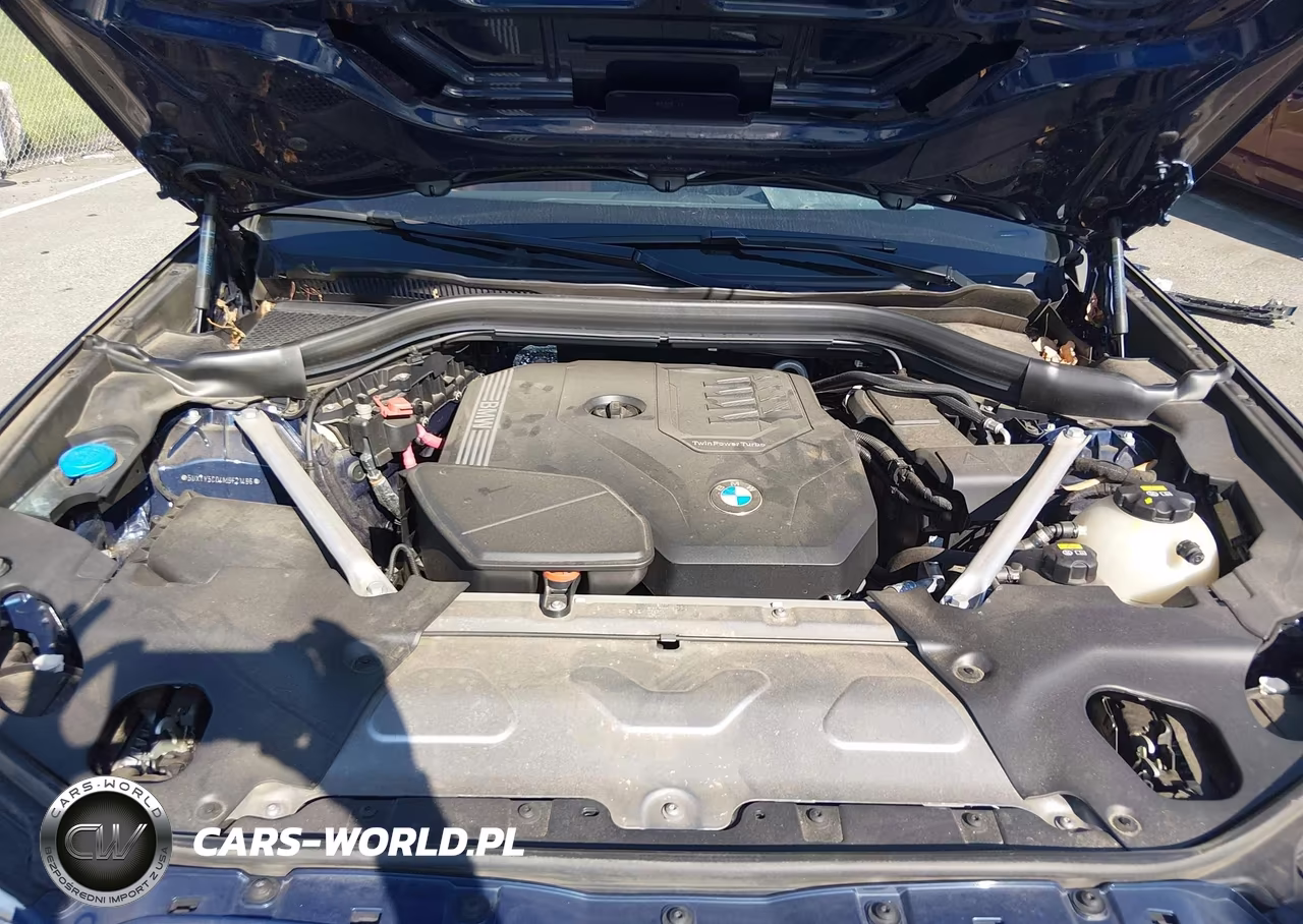 2021 BMW X3 xDrive30I VIN:5UXTY5C04M9F21496 - 10