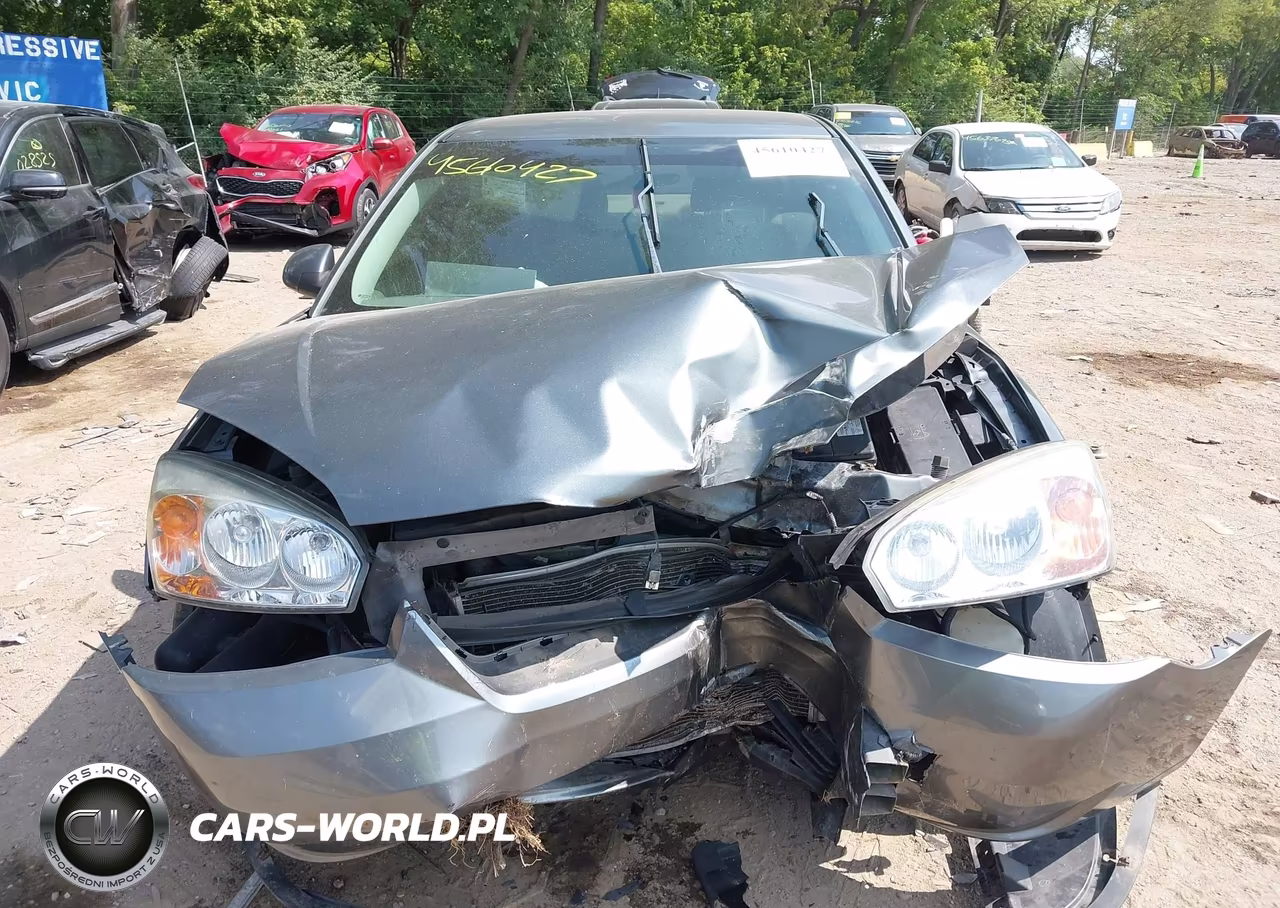 2006 Chevrolet Malibu Lt VIN:1G1ZT51876F256005 - 12