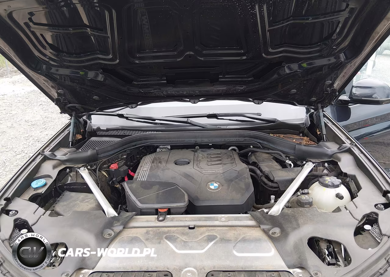 2024 BMW X3 Sdrive30I VIN:5UX43DP08R9W87225 - 10