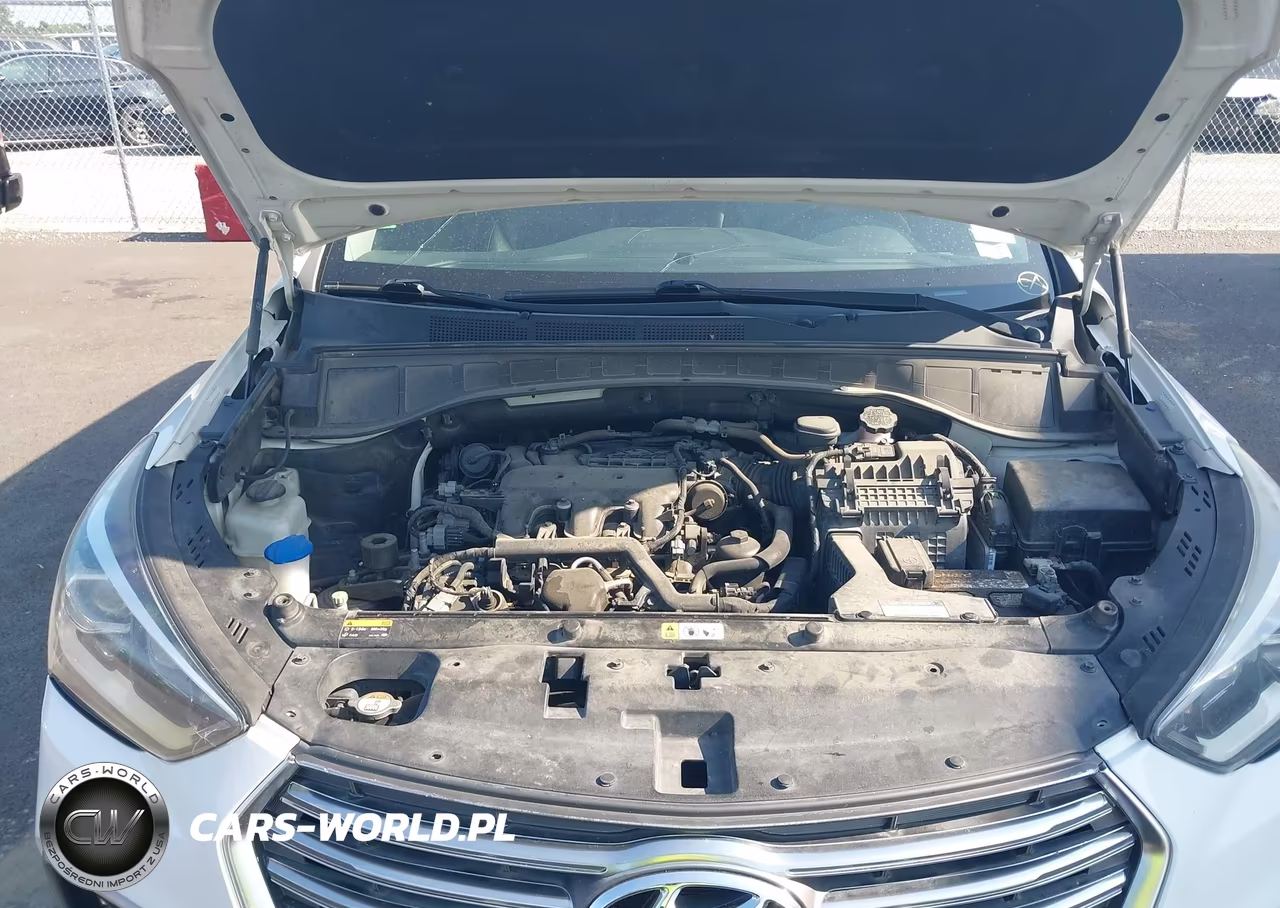 2017 Hyundai Santa Fe Se Ultimate VIN:KM8SR4HF5HU248985 - 10