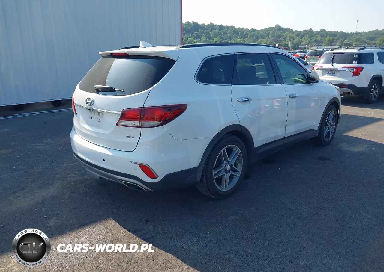 2017 Hyundai Santa Fe Se Ultimate VIN:KM8SR4HF5HU248985 - 4