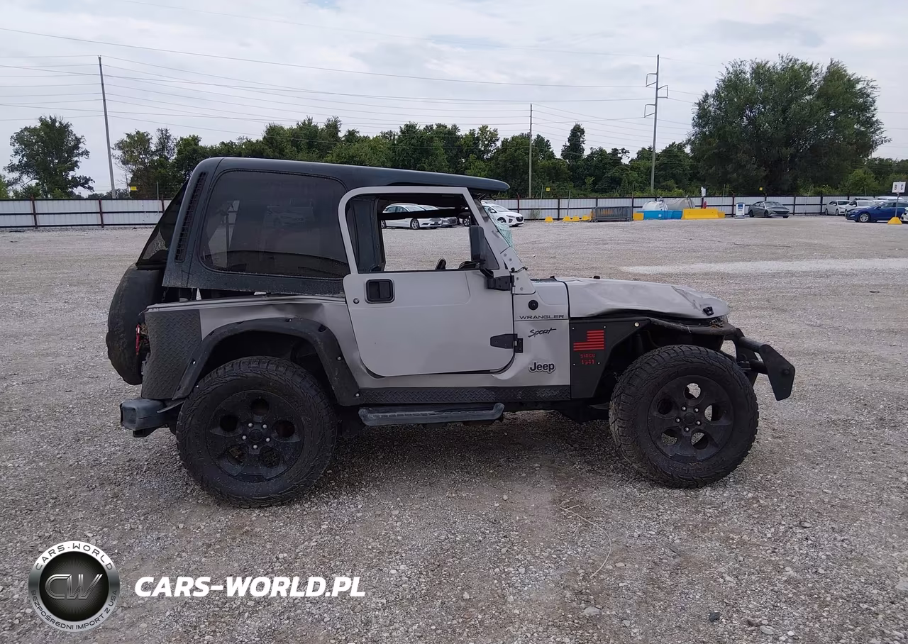 2002 Jeep Wrangler Sport VIN:1J4FA49SX2P720266 - 13