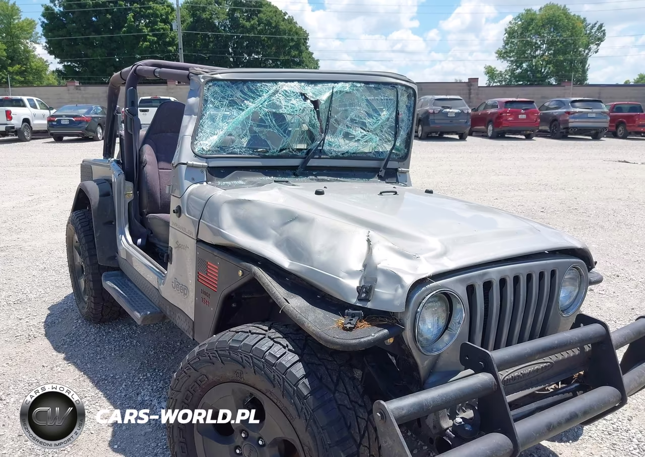 2002 Jeep Wrangler Sport VIN:1J4FA49SX2P720266 - 6