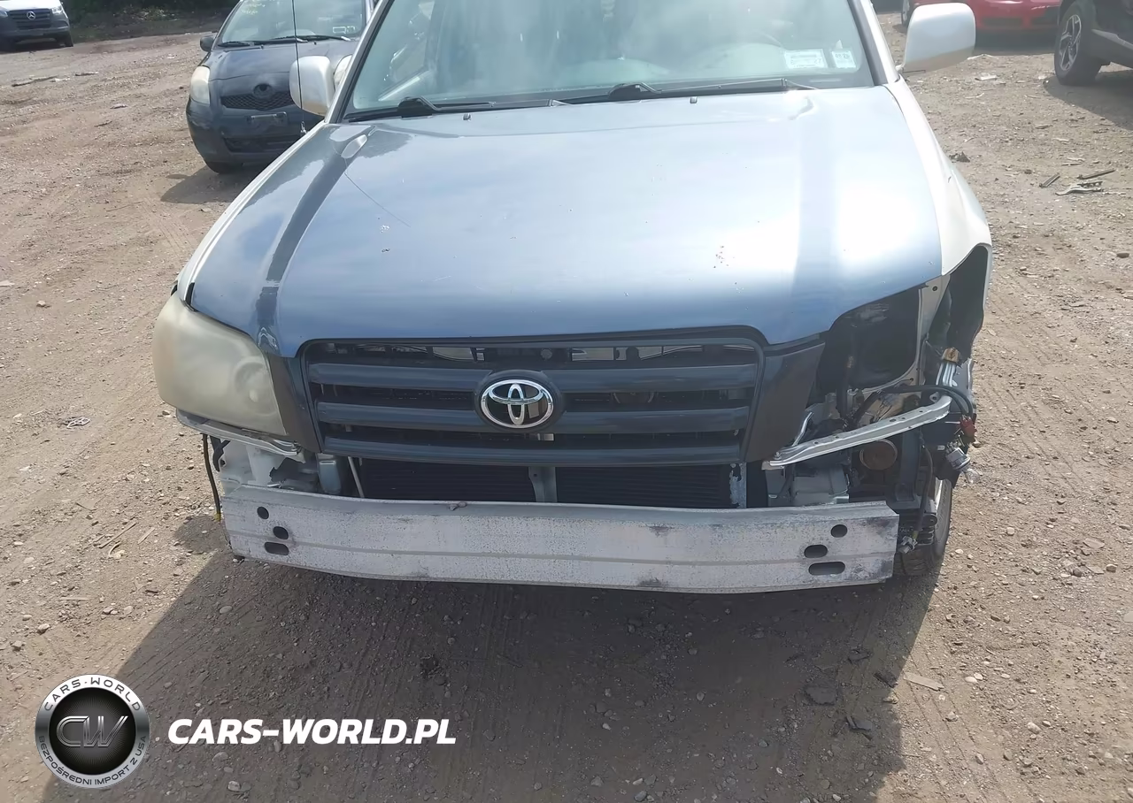 2004 Toyota Highlander V6 VIN:JTEEP21A740009199 - 6