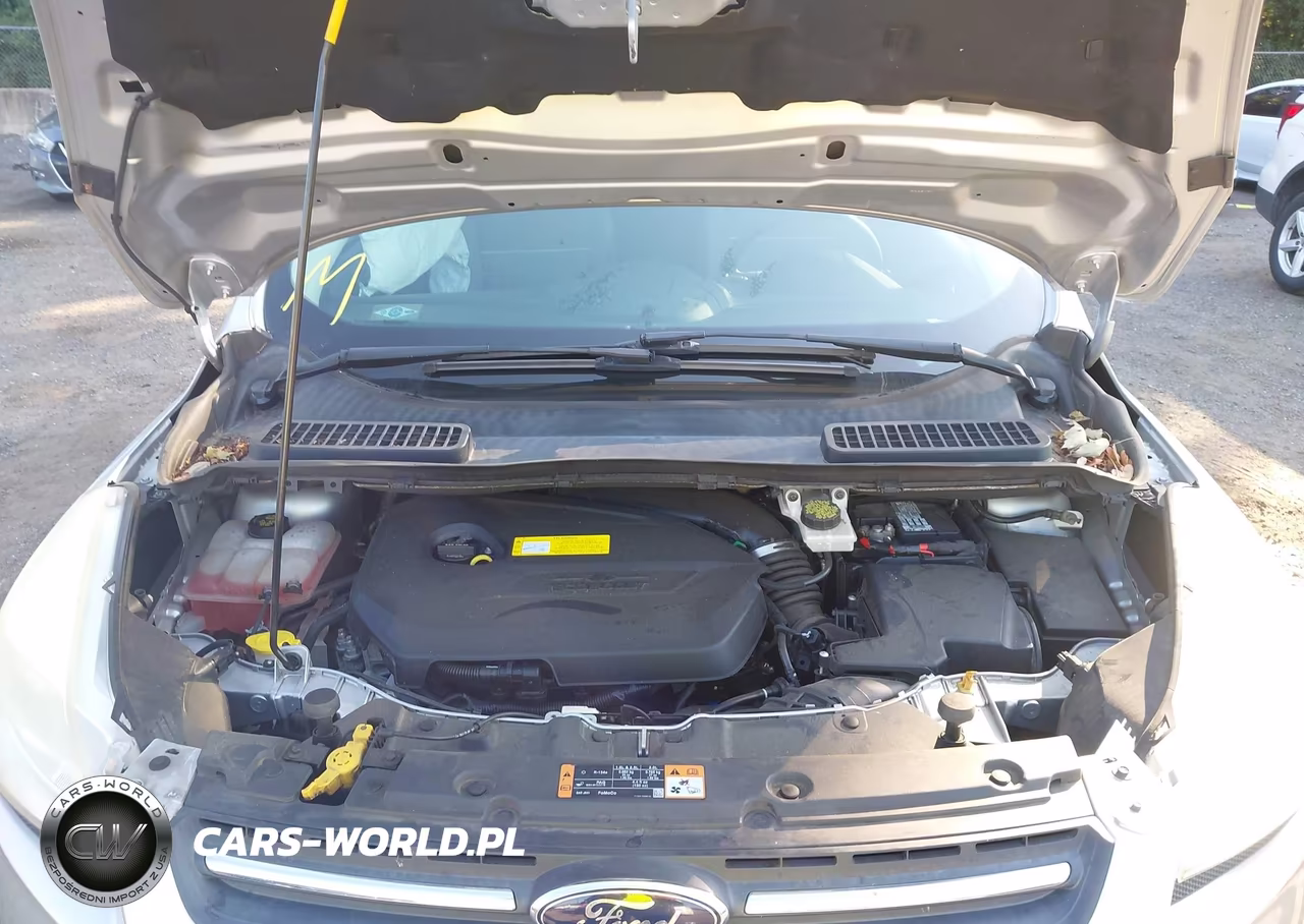 2015 Ford Escape Se VIN:1FMCU9GX4FUB89550 - 10