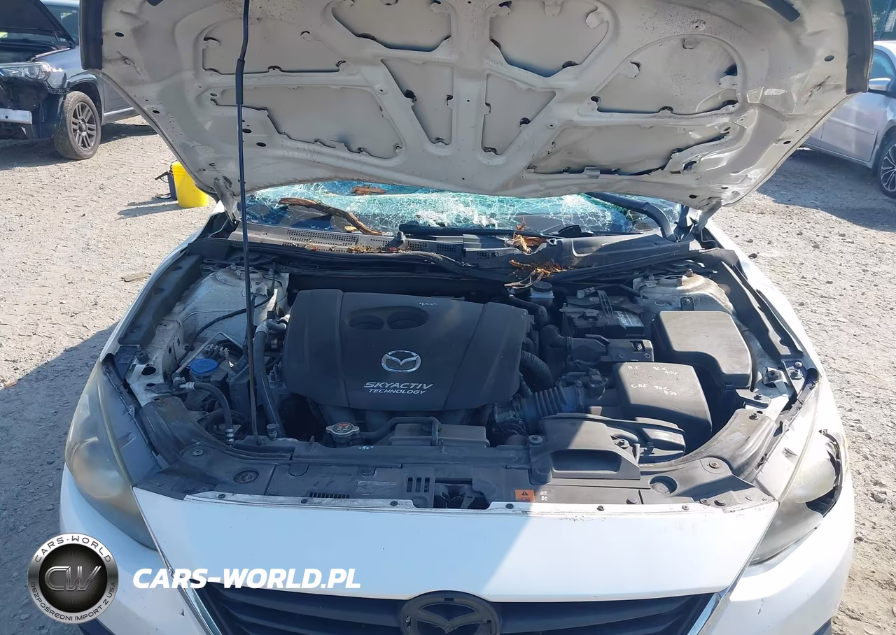 2016 Mazda Mazda3 I Sport VIN:JM1BM1U70G1282820 - 10