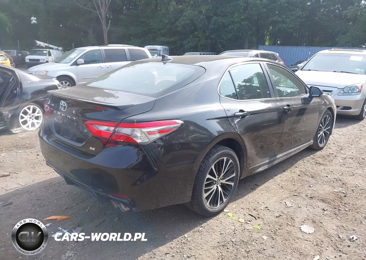 2019 Toyota Camry Se VIN:4T1B11HK1KU181232 - 4