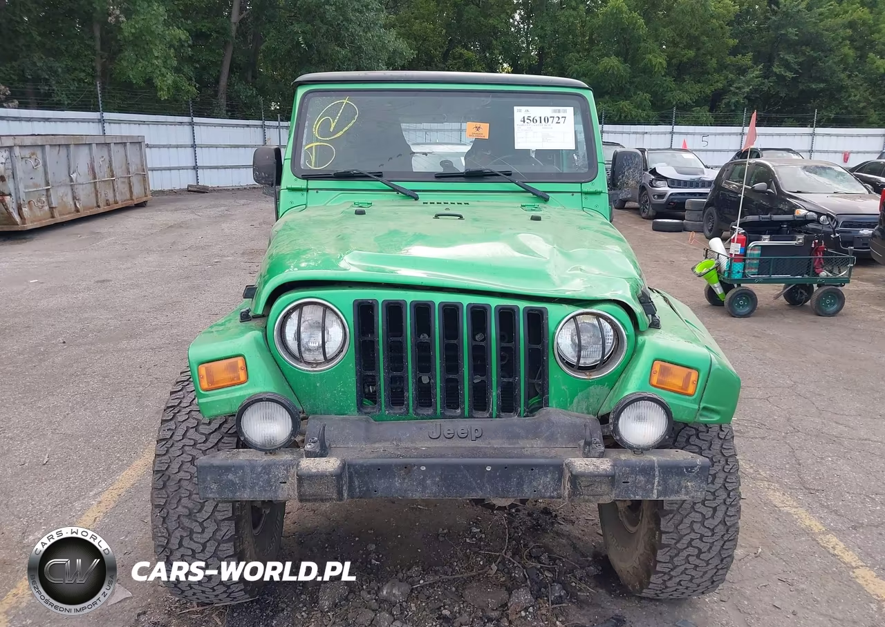2004 Jeep Wrangler Unlimited VIN:1J4FA49SX4P795388 - 12