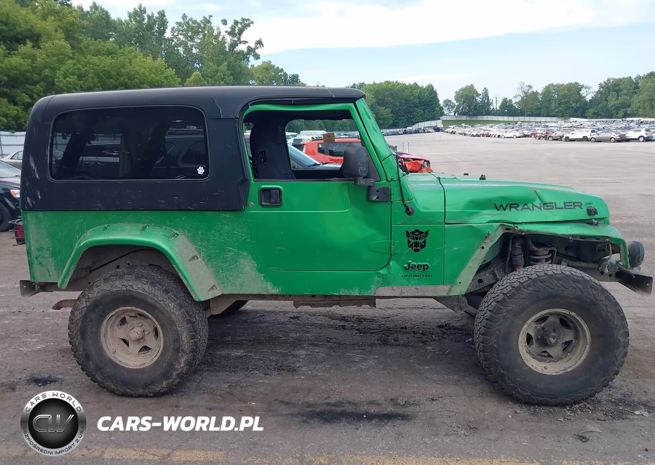 2004 Jeep Wrangler Unlimited VIN:1J4FA49SX4P795388 - 13
