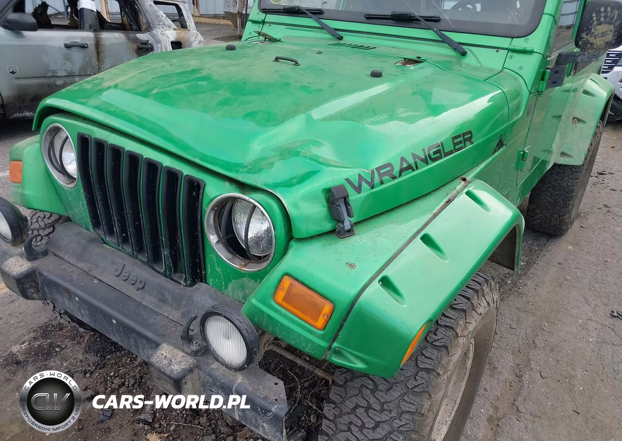 2004 Jeep Wrangler Unlimited VIN:1J4FA49SX4P795388 - 18
