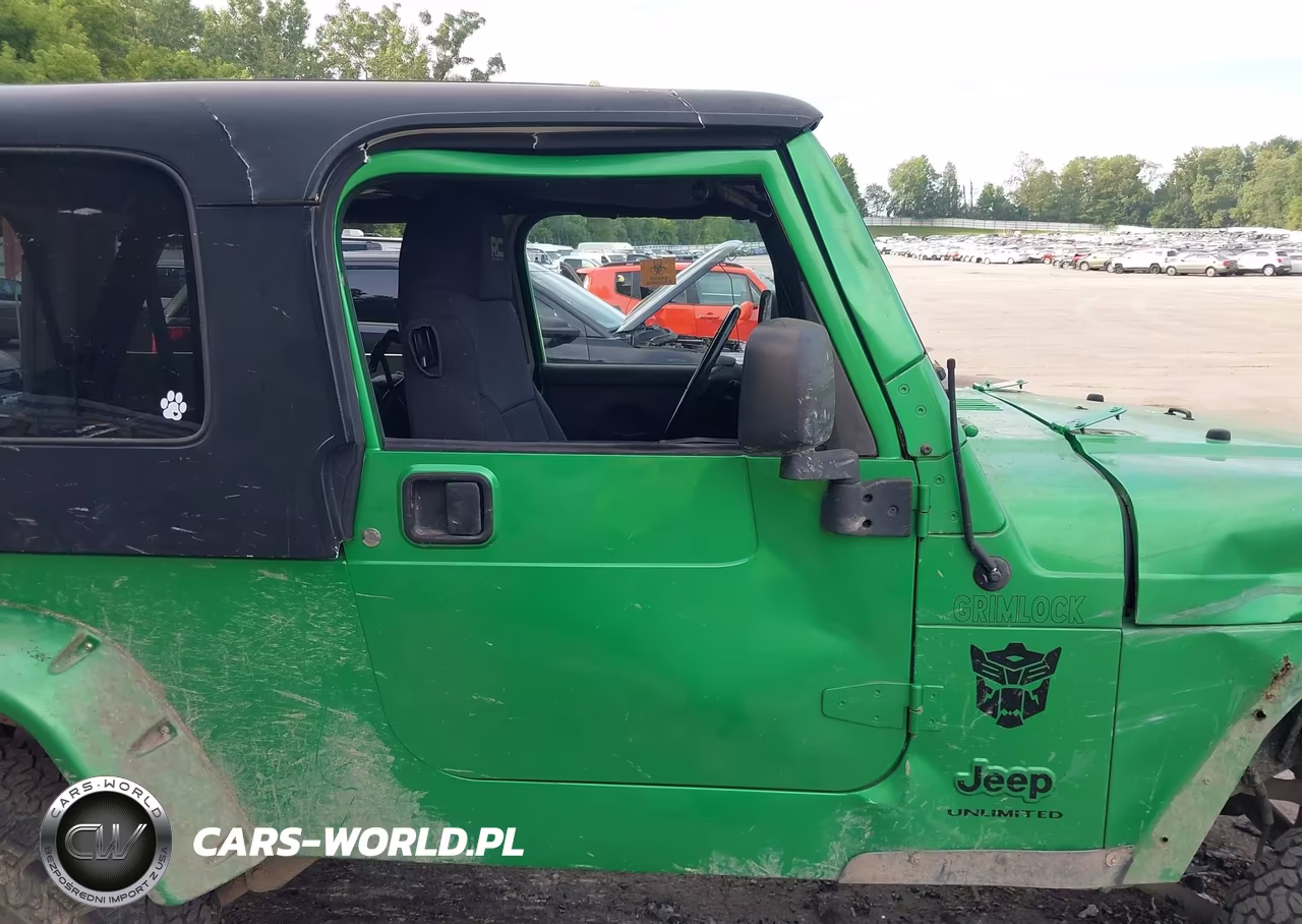 2004 Jeep Wrangler Unlimited VIN:1J4FA49SX4P795388 - 20