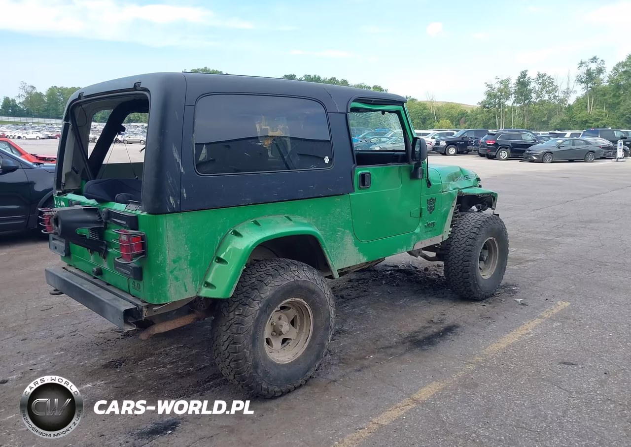 2004 Jeep Wrangler Unlimited VIN:1J4FA49SX4P795388 - 4