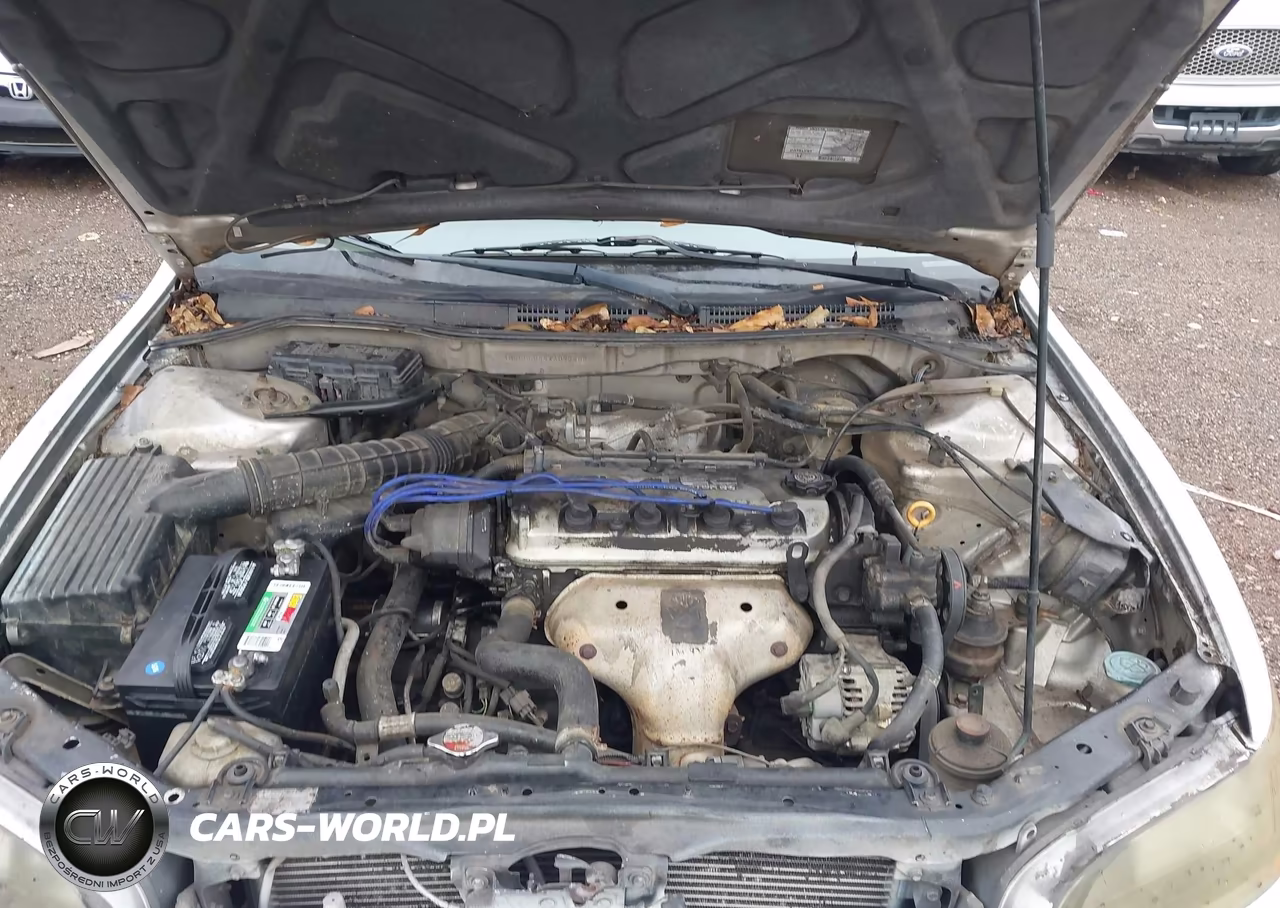 1998 Honda Accord Lx VIN:1HGCG5649WA097462 - 10