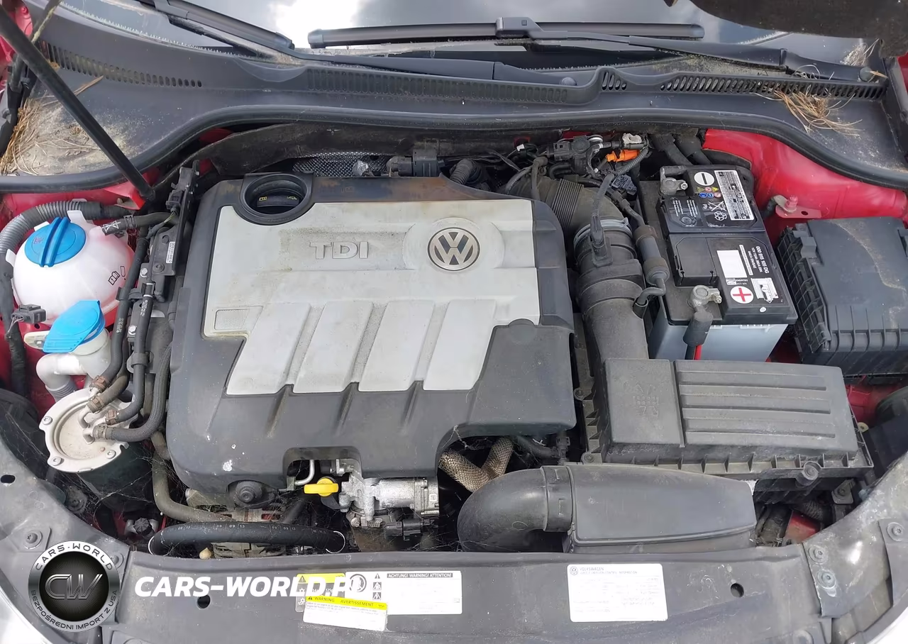 2014 Volkswagen Golf 2.0L Tdi VIN:WVWDM7AJ9EW010732 - 10