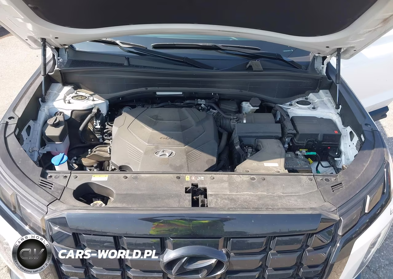 2025 Hyundai Palisade Xrt VIN:KM8R3DGEXSU837319 - 10