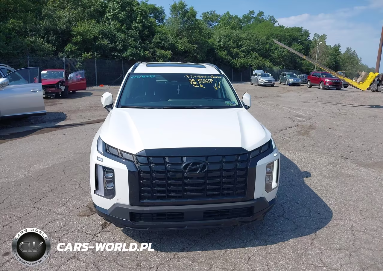 2025 Hyundai Palisade Xrt VIN:KM8R3DGEXSU837319 - 12