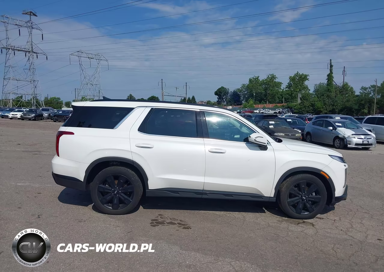 2025 Hyundai Palisade Xrt VIN:KM8R3DGEXSU837319 - 13