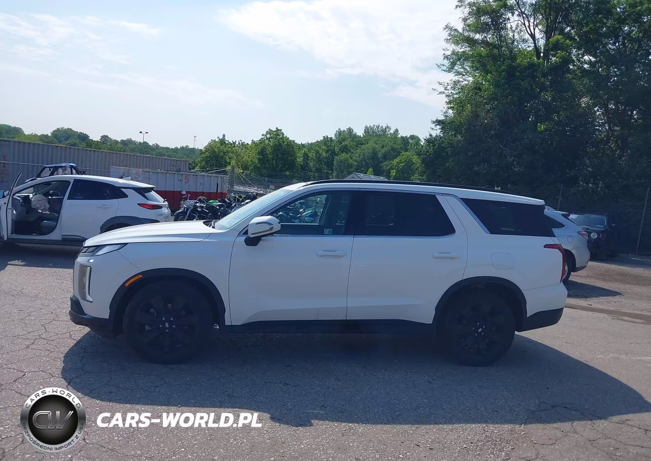 2025 Hyundai Palisade Xrt VIN:KM8R3DGEXSU837319 - 14