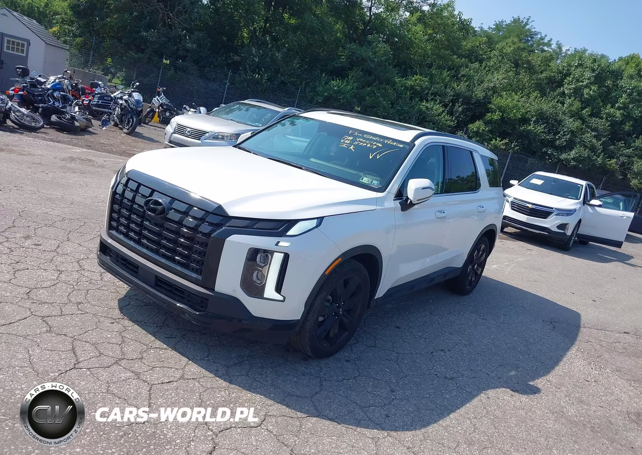 2025 Hyundai Palisade Xrt VIN:KM8R3DGEXSU837319 - 2