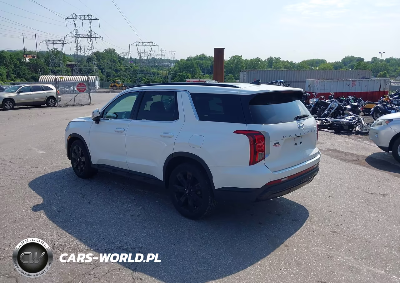 2025 Hyundai Palisade Xrt VIN:KM8R3DGEXSU837319 - 3