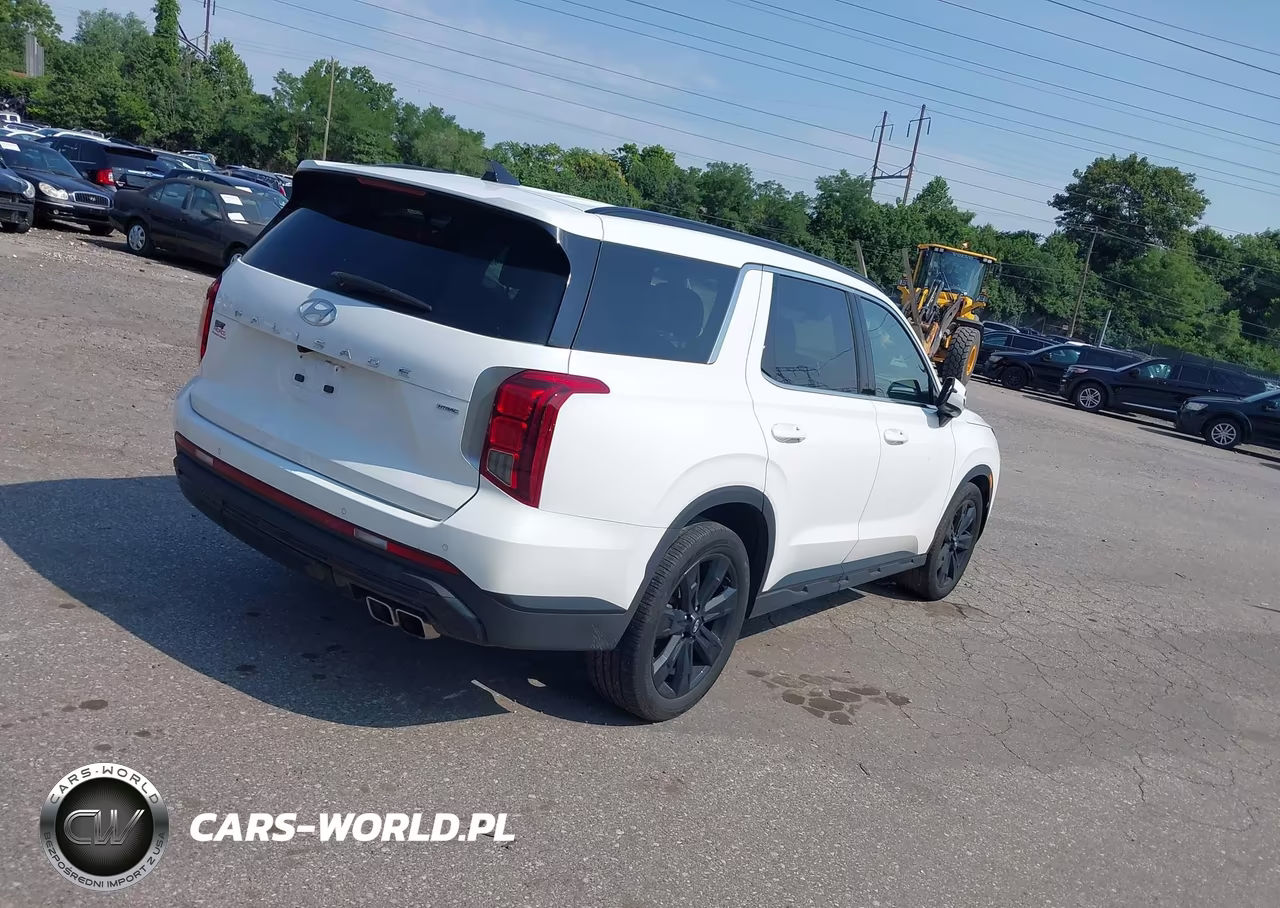 2025 Hyundai Palisade Xrt VIN:KM8R3DGEXSU837319 - 4