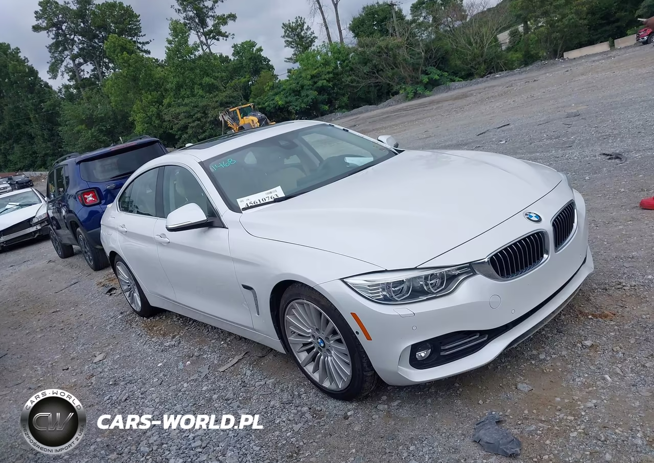 2015 BMW 428 Gran Coupe VIN:WBA4A5C51FD410047 - 13