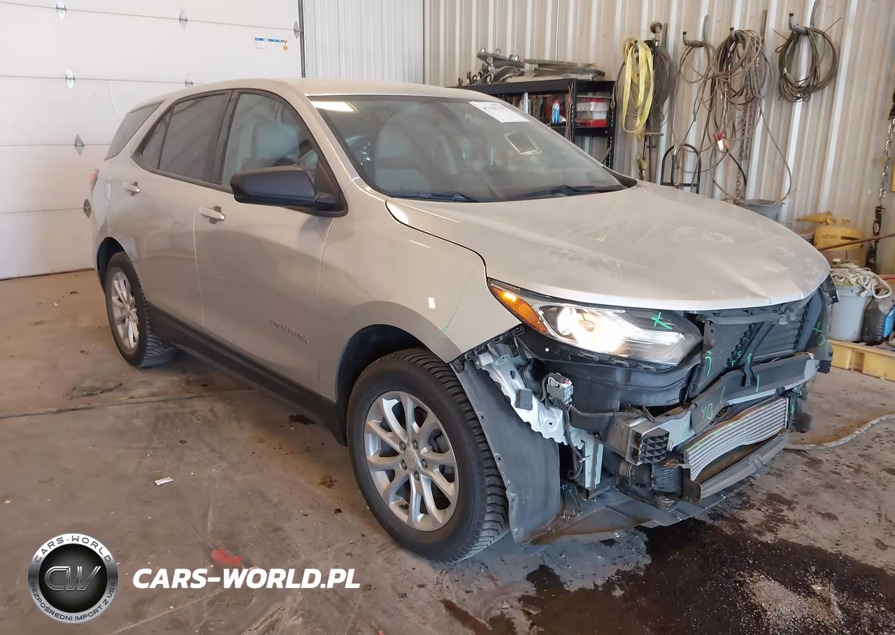 2019 Chevrolet Equinox Ls – zdjęcie 1 z 16